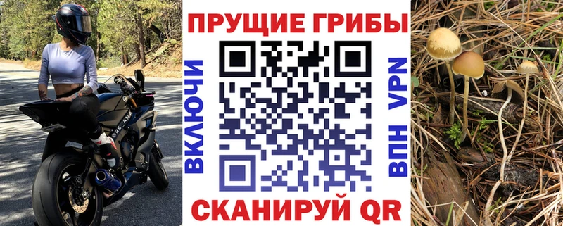 Псилоцибиновые грибы Magic Shrooms Евпатория